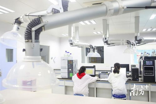 深圳首季高新技術(shù)企業(yè)培育資助突破20.5億元，通訊工程技術(shù)研發(fā)與服務(wù)成重點扶持方向